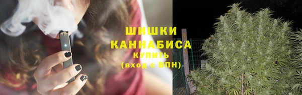 гашик Няндома